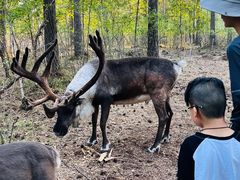 -北极村旅游风景区