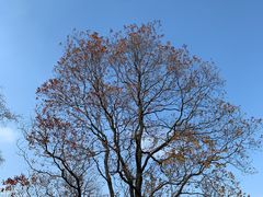 -同济大学(嘉定校区)