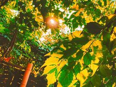 -斯多格书乡(北京大学畅春园店)