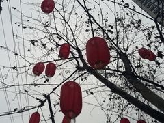 -闻酥园(青羊区文殊坊店)