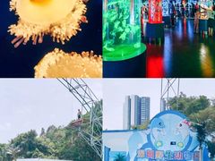 -深圳野生动物园