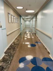 -杭州贝瑞斯美华妇儿医院·早孕·产检·儿科