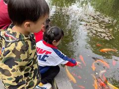 -小马快跑儿童托育中心(华润万家店)