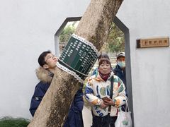 -司徒庙