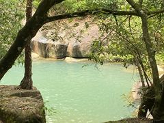 -广州白江湖森林公园