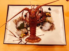 -活伊势龙虾料理 中纳言(千日前味乐馆店)