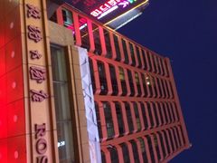 玫瑰大酒店-沈阳玫瑰大酒店