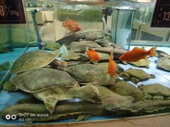 -旺顺阁海鲜广场(亚运村店)
