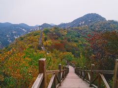 -大岭沟猕猴桃谷风景区