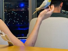 -陈鹏鹏潮汕菜(欢乐海岸 海边景观店)