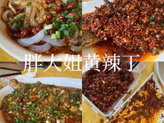 -胖大姐黄辣丁鱼庄(新津店)