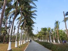 -万绿园