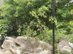 -鱼凫国都大酒店温泉