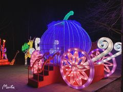 -南宫五洲植物乐园