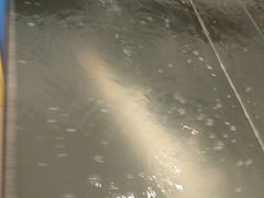 -崔记生活·铁锅炖鱼粘卷子(总店)