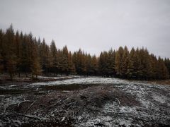 -塞罕坝国家级自然保护区