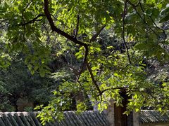 -云峰山自然风景区