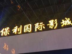 -保利国际影城(保利文化广场店)