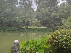-杭州花家山庄