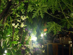 android_upload_pic-Dash Teak House