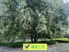 -沈阳植物园