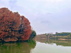 -梁鸿国家湿地公园