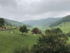 -关山草原