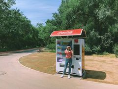 -朝阳公园游乐园