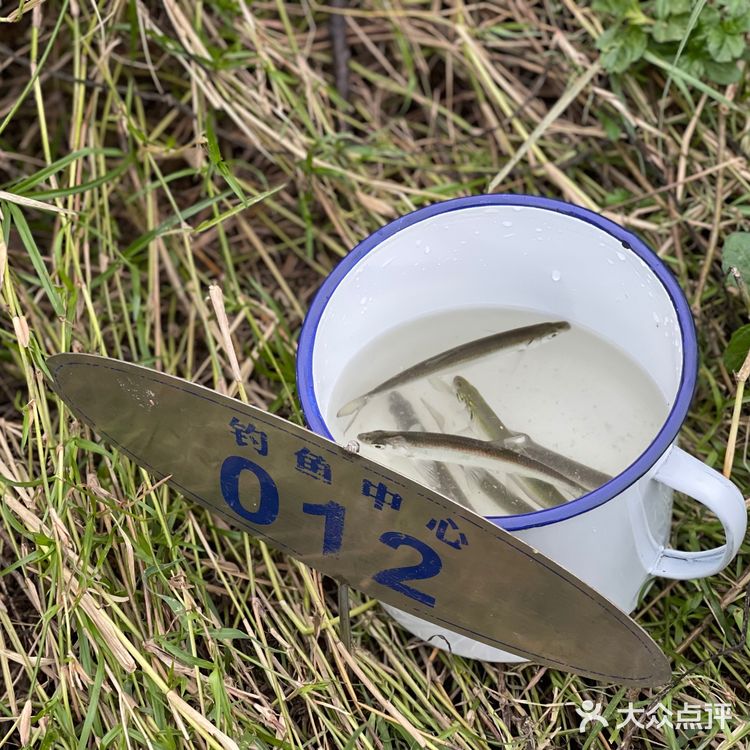 从化流溪河｜钓鱼
