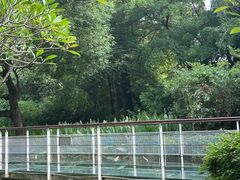 -燕晗山郊野公园