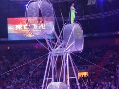 -俄罗斯国家大马戏团