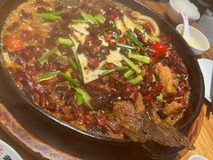 -老板恋上鱼(恒隆广场店)