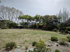 -上海醉白池公园