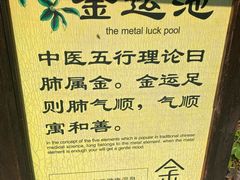 -明月山天沐温泉度假村