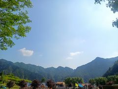 -王顺山国家森林公园