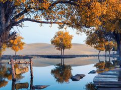 -青海湖国家重点风景名胜区