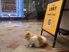 -波特曼西餐厅(南岗店)