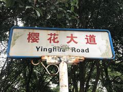 -武汉大学-樱园