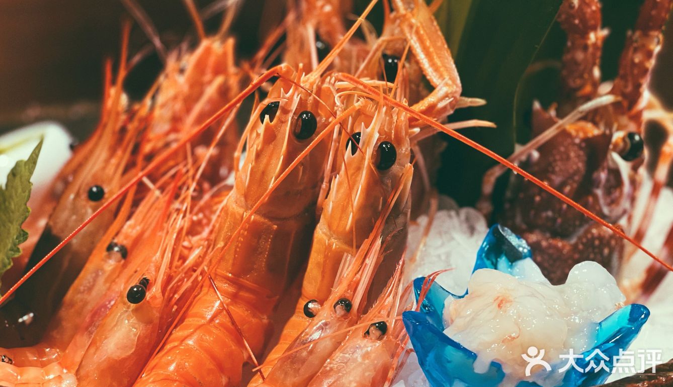 鳌虾甜虾牡丹虾虎虾,一起来