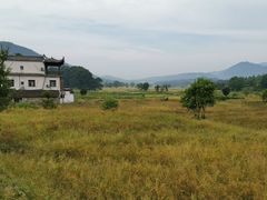 -塔川景区