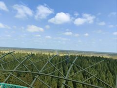 -黄海国家森林公园