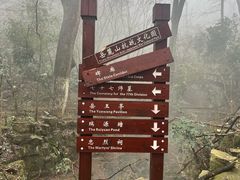 -岳麓山风景名胜区