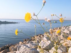 -贝林大翅鲸简餐厅(国家海洋博物馆店)