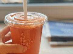 -JamaicaBlue Cafe(乌鲁木齐中路店)