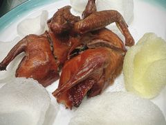爆汁乳鸽皇-佳丽海鲜大酒楼(环岛海景店)