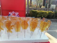 -渭南桃花源民俗文化园