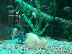 -常州海昌海洋探索馆