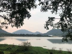 -风云岭森林公园