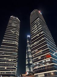 -巍阁高端月子会所