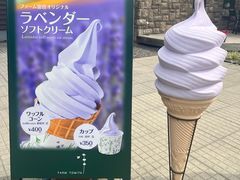 -富田农场